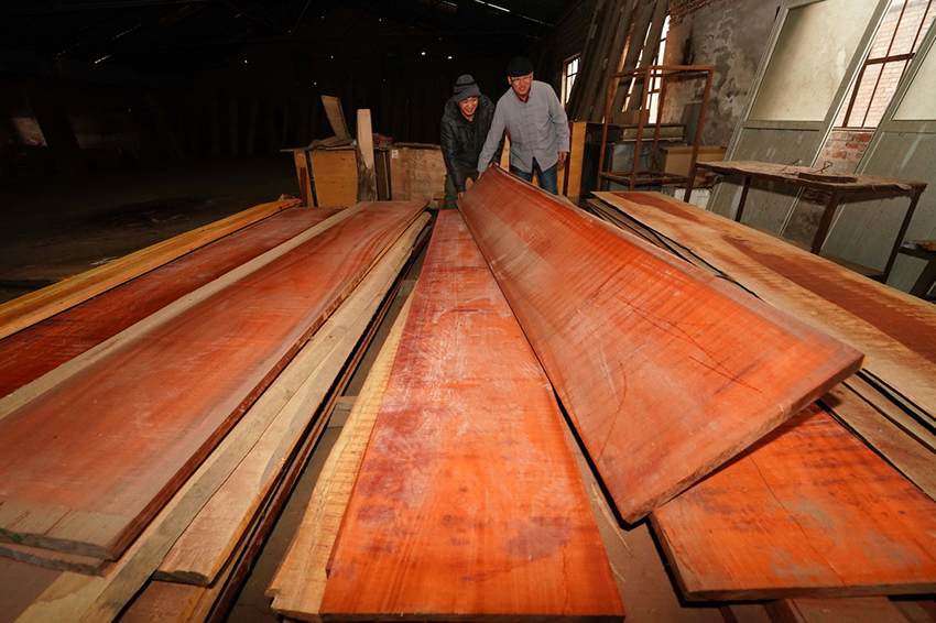 ???? ???? ???? 20 ????? ?? ???? ?? ????? ???????? ?????? ????? ??