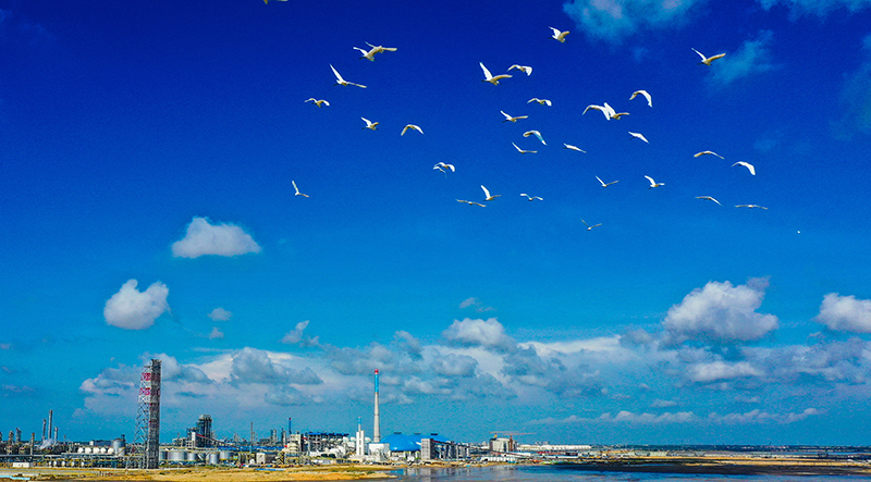 ?????? ??????? ???????? ??????? ??????????? ???? ???? ??? ??? ???? ?????? ?????? 