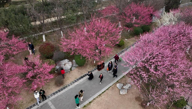 ??????: ??????? ?? ??? ?????? ?? ?????