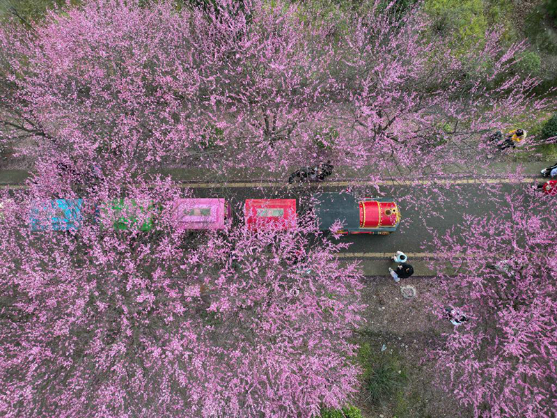 ??????: ??????? ?? ??? ?????? ?? ?????