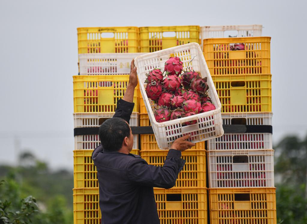 ??????: ???? ?????? ?? ?????? ?????? ???????