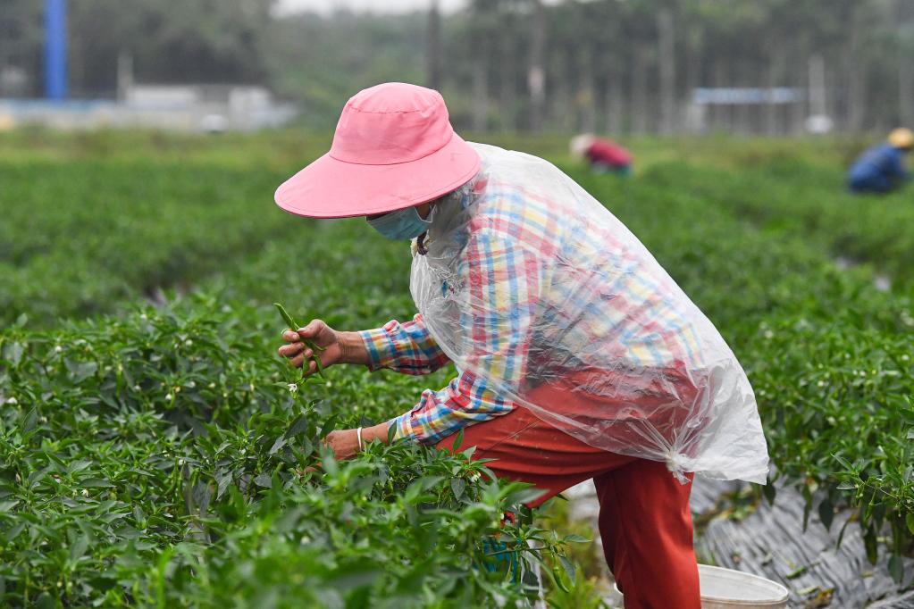 ??????: ???? ?????? ?? ?????? ?????? ???????