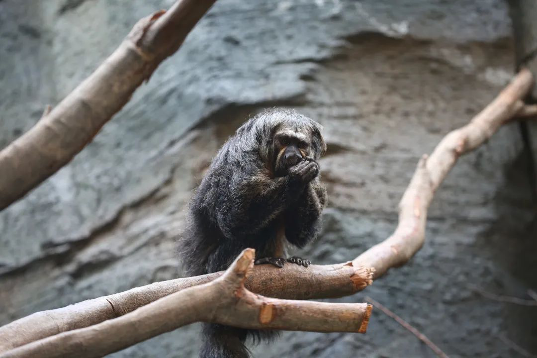 ????? ?????? ?????? ???? ?????? ?????? ??? ??????? ????????