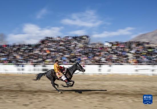 ?? ????? ????: ????? ???? ???????? ??????? ?????? ?????? ??????