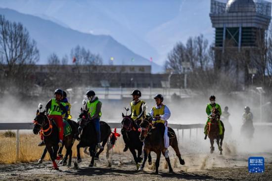 ?? ????? ????: ????? ???? ???????? ??????? ?????? ?????? ??????