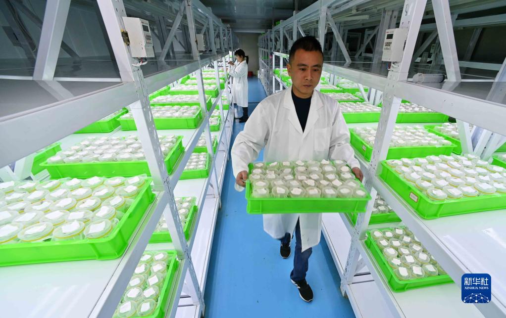 ????? ???? ????? ?? ?????? .. ?????? ?????? ??????? ??????? ??????? ?????? ???????? ?????? ??????? ???????