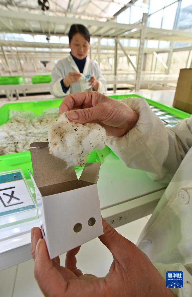 ????? ???? ????? ?? ?????? .. ?????? ?????? ??????? ??????? ??????? ?????? ???????? ?????? ??????? ???????