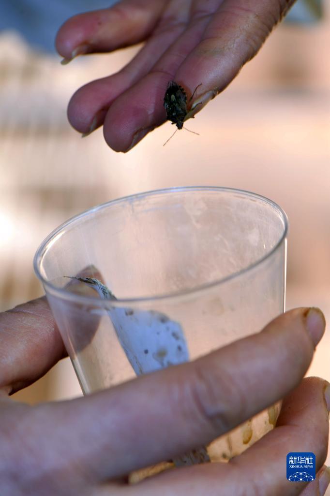 ????? ???? ????? ?? ?????? .. ?????? ?????? ??????? ??????? ??????? ?????? ???????? ?????? ??????? ???????