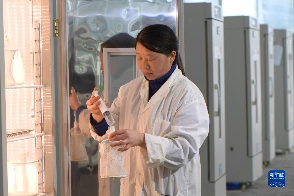 ????? ???? ????? ?? ?????? .. ?????? ?????? ??????? ??????? ??????? ?????? ???????? ?????? ??????? ???????