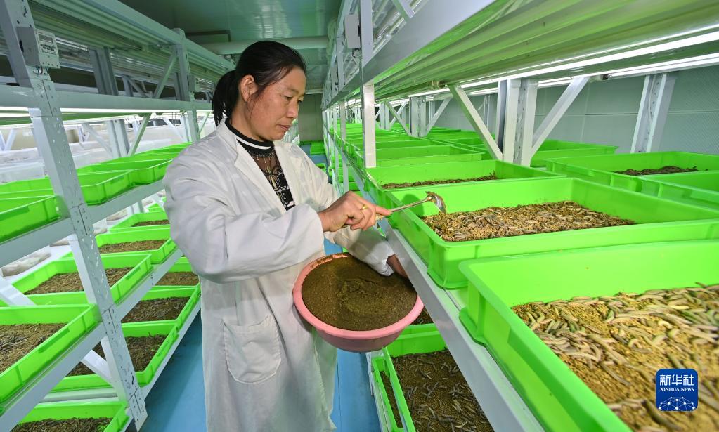 ????? ???? ????? ?? ?????? .. ?????? ?????? ??????? ??????? ??????? ?????? ???????? ?????? ??????? ???????