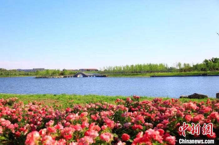 ?????? ??????? ?????? ??????? ?? ???? ?????