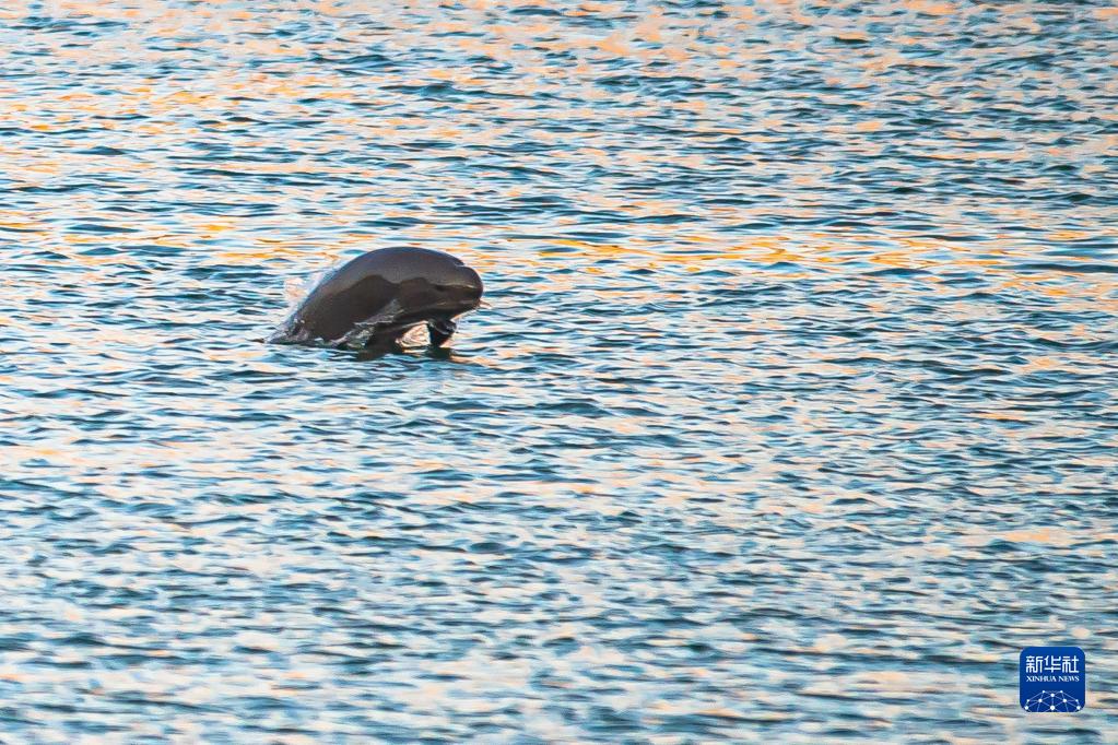 ??????: ?????? ????????? ??? ????? ?? ?????? ???? ???? ?????