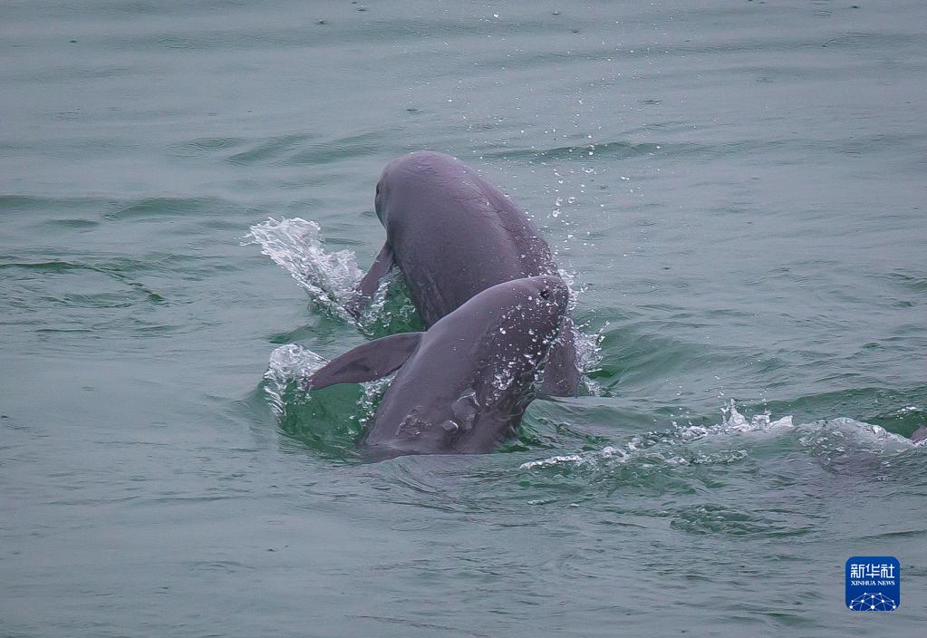 ??????: ?????? ????????? ??? ????? ?? ?????? ???? ???? ?????