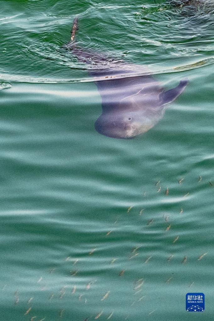 ??????: ?????? ????????? ??? ????? ?? ?????? ???? ???? ?????