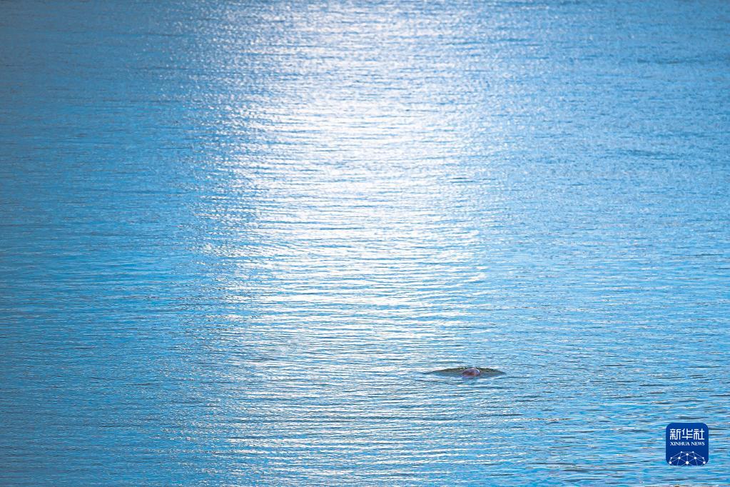 ??????: ?????? ????????? ??? ????? ?? ?????? ???? ???? ?????