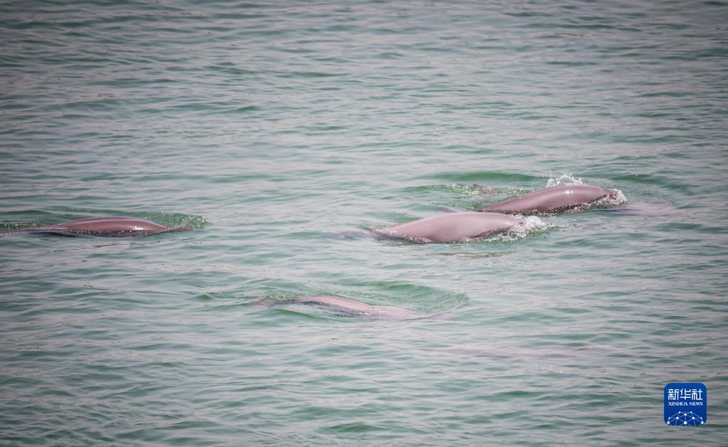 ??????: ?????? ????????? ??? ????? ?? ?????? ???? ???? ?????