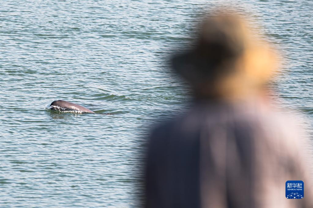 ??????: ?????? ????????? ??? ????? ?? ?????? ???? ???? ?????