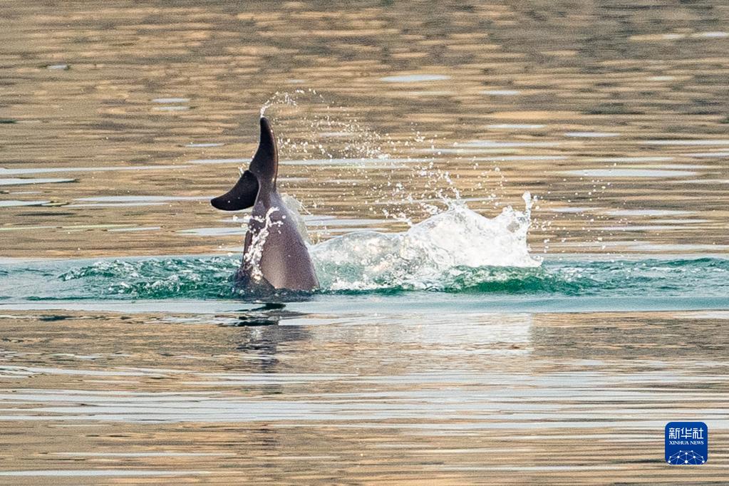 ??????: ?????? ????????? ??? ????? ?? ?????? ???? ???? ?????