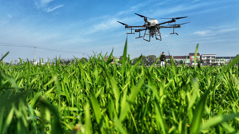 ??????? ???????: ?????? ???????? ?????? ????? ?? ????? ???????