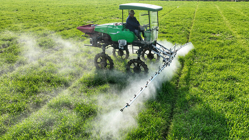 ??????? ???????: ?????? ???????? ?????? ????? ?? ????? ???????