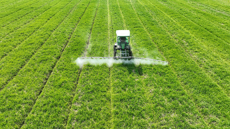 ??????? ???????: ?????? ???????? ?????? ????? ?? ????? ???????