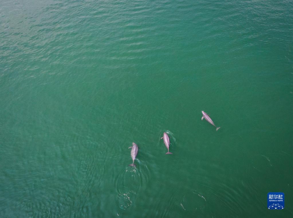 1249 ???? .. ?????? ????? ????? ?? ??? ?????????