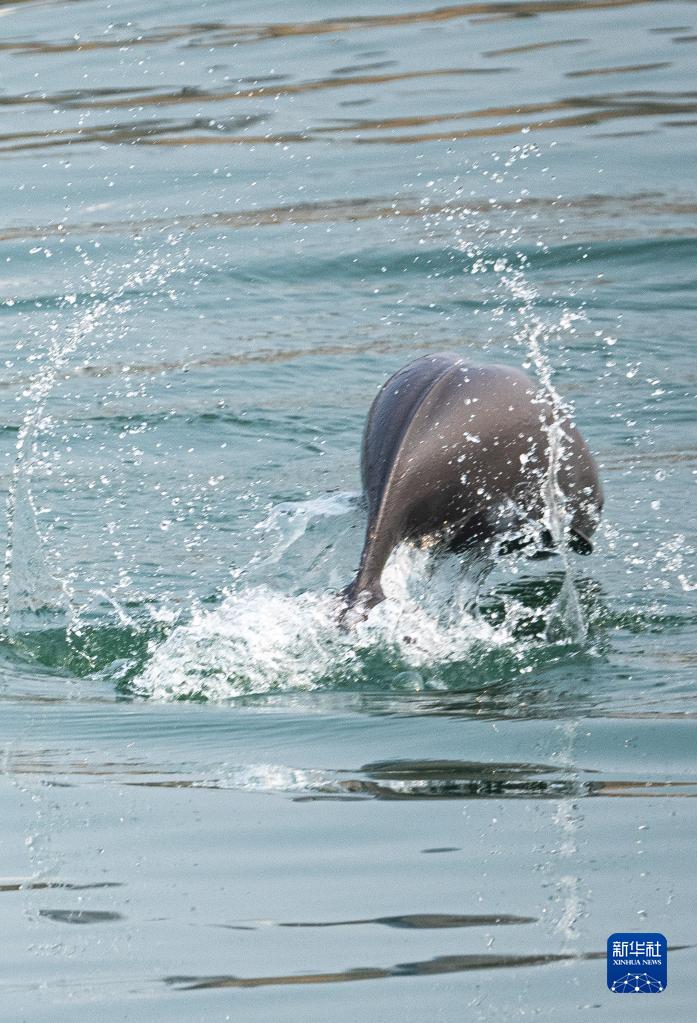 1249 ???? .. ?????? ????? ????? ?? ??? ?????????