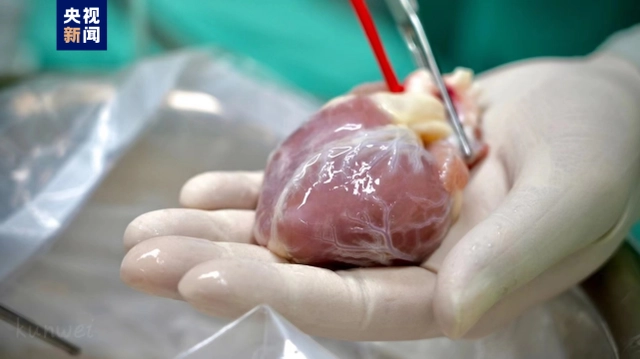 ???? ??? ?? ????..????? ?????? ?????? ???? ?????? ?? ??? ???????