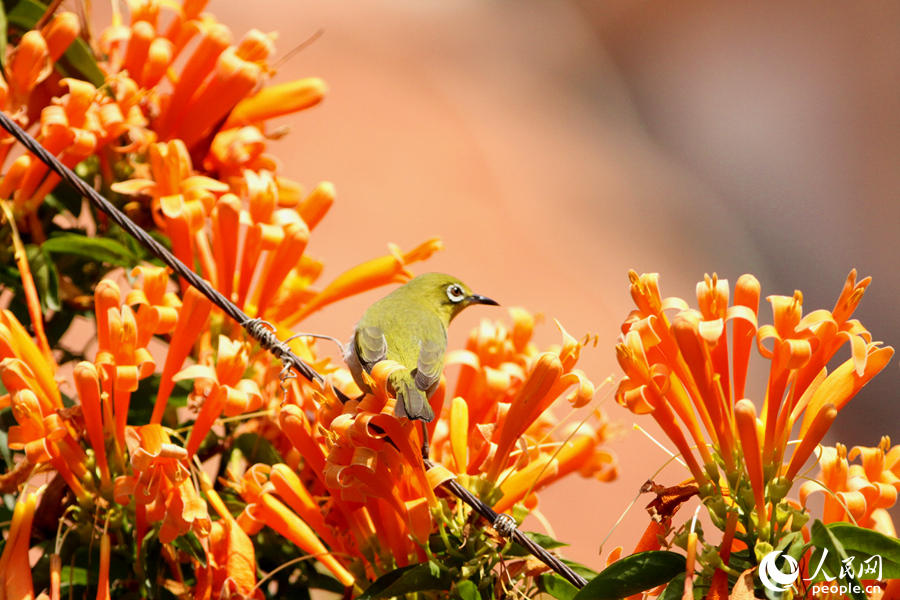 ???? ????? ?????? ???? ????? ????? ?????