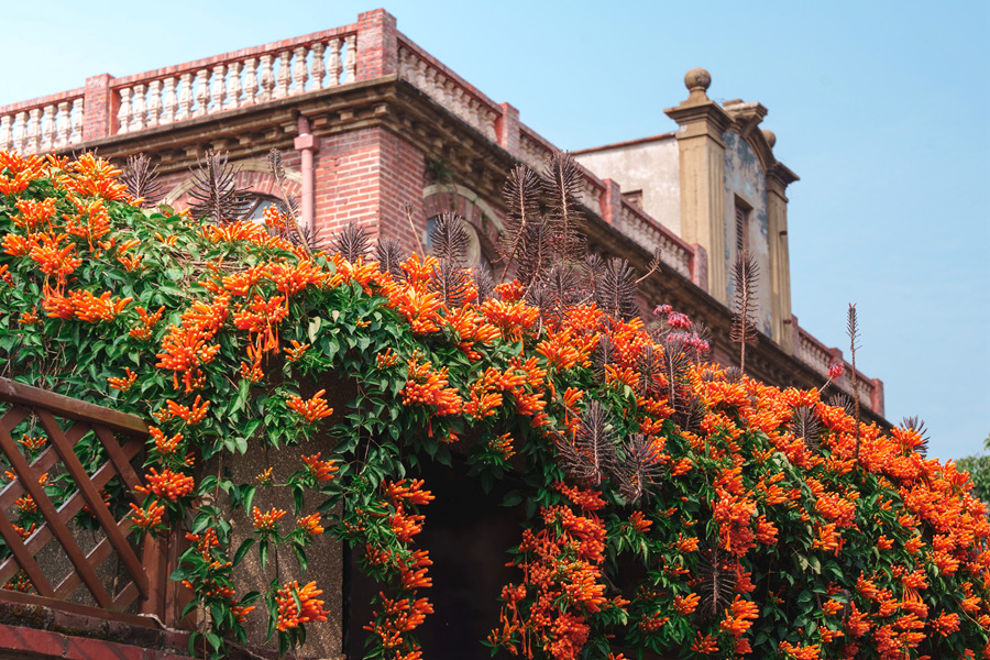 ???? ????? ?????? ???? ????? ????? ?????