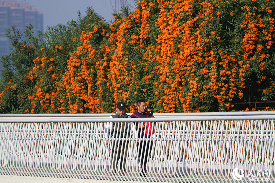 ???? ????? ?????? ???? ????? ????? ?????