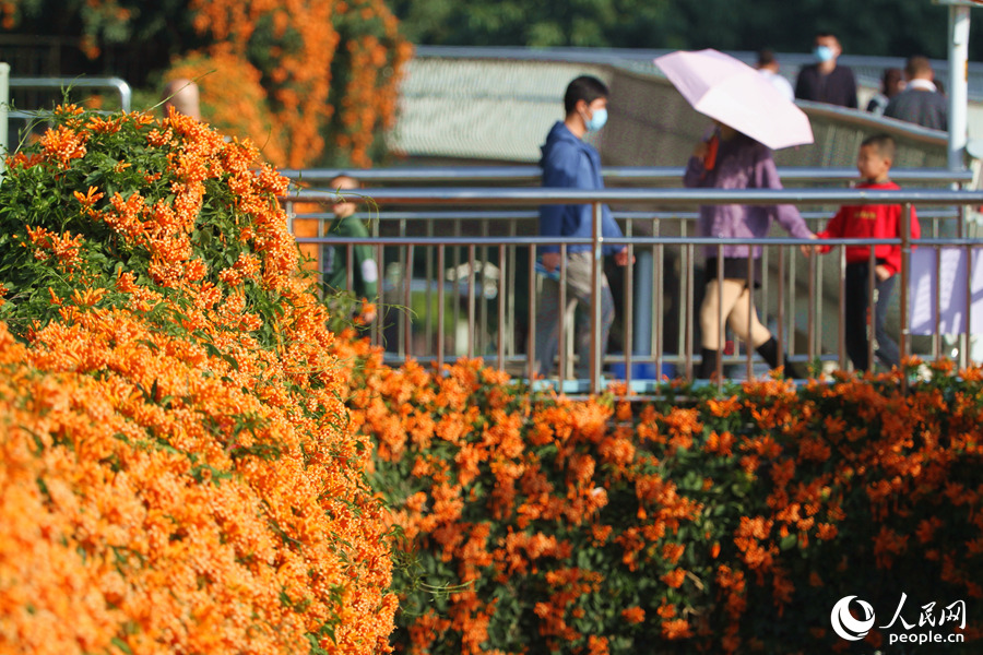 ???? ????? ?????? ???? ????? ????? ?????