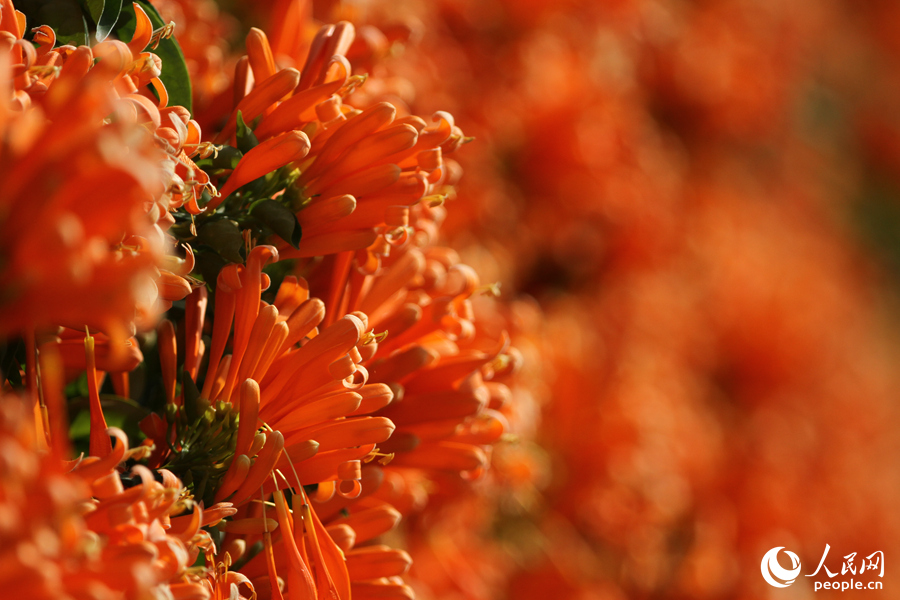 ???? ????? ?????? ???? ????? ????? ?????