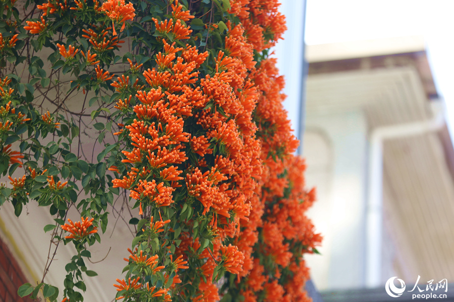 ???? ????? ?????? ???? ????? ????? ?????