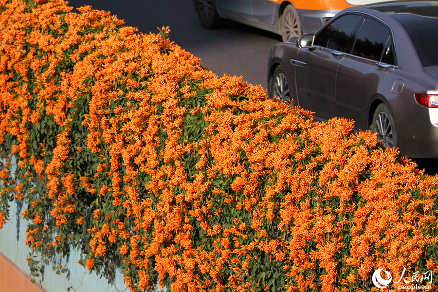 ???? ????? ?????? ???? ????? ????? ?????