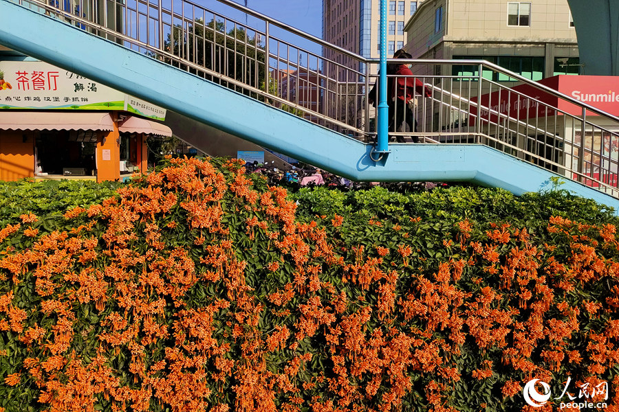 ???? ????? ?????? ???? ????? ????? ?????