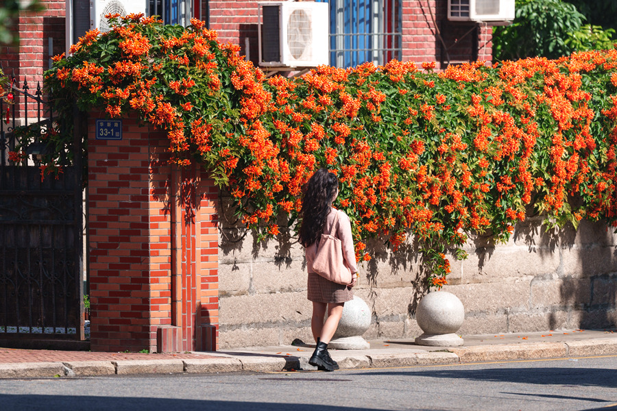 ???? ????? ?????? ???? ????? ????? ?????