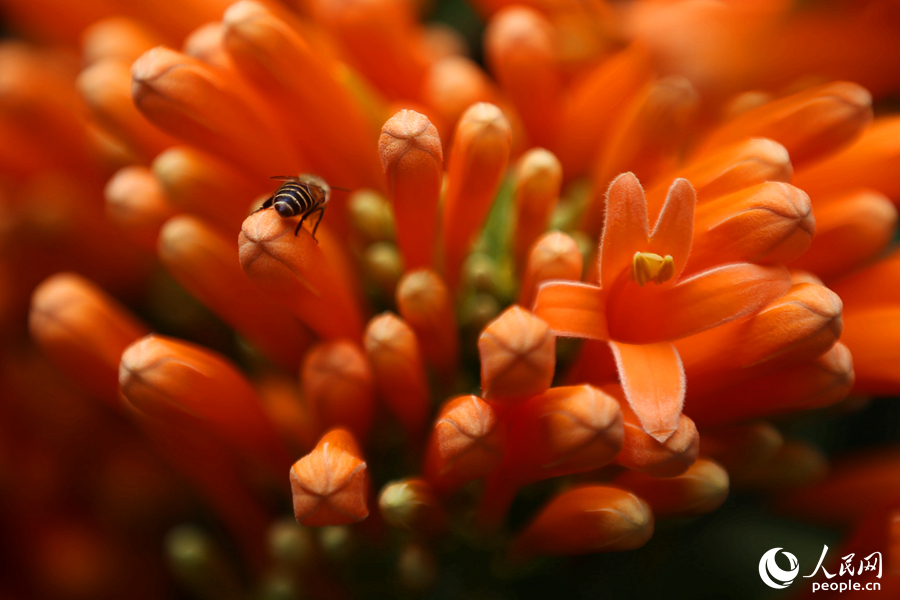 ???? ????? ?????? ???? ????? ????? ?????