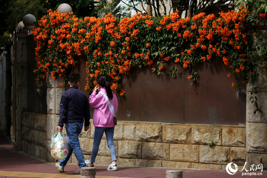 ???? ????? ?????? ???? ????? ????? ?????