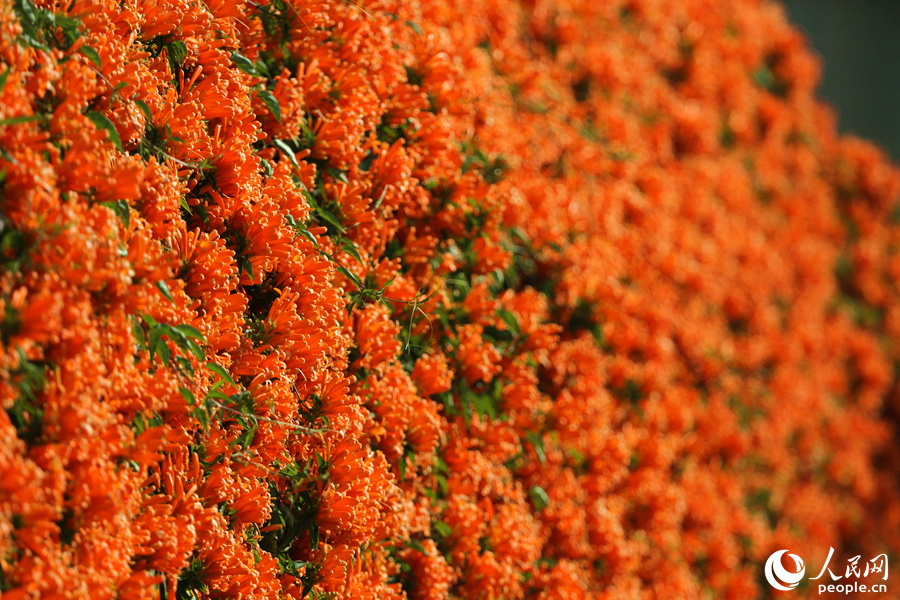 ???? ????? ?????? ???? ????? ????? ?????