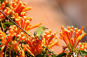 ???? ????? ?????? ???? ????? ????? ?????