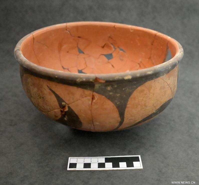 ?????? ???? ????? ???? 6000 ??? ?? ?????? ???? ???? ?????