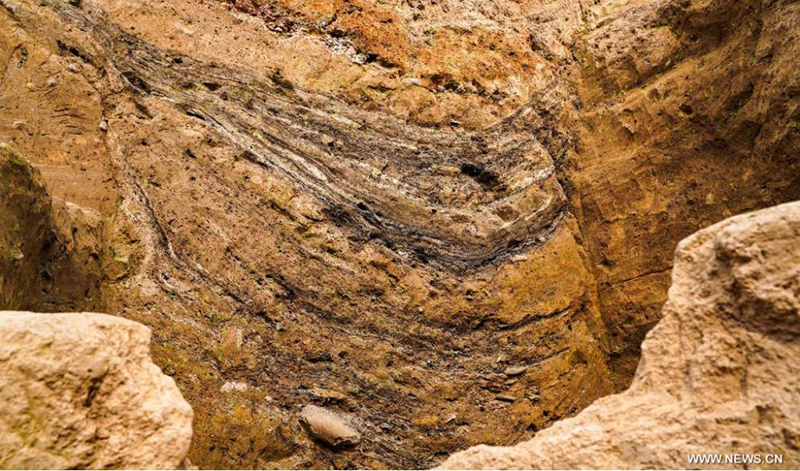 ?????? ???? ????? ???? 6000 ??? ?? ?????? ???? ???? ?????