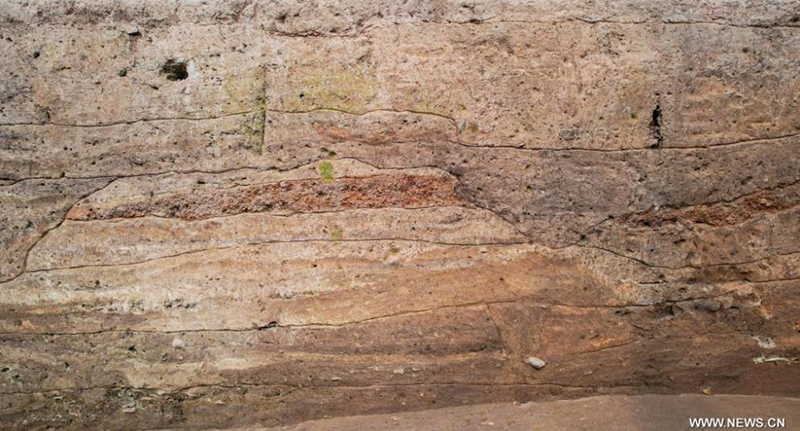 ?????? ???? ????? ???? 6000 ??? ?? ?????? ???? ???? ?????