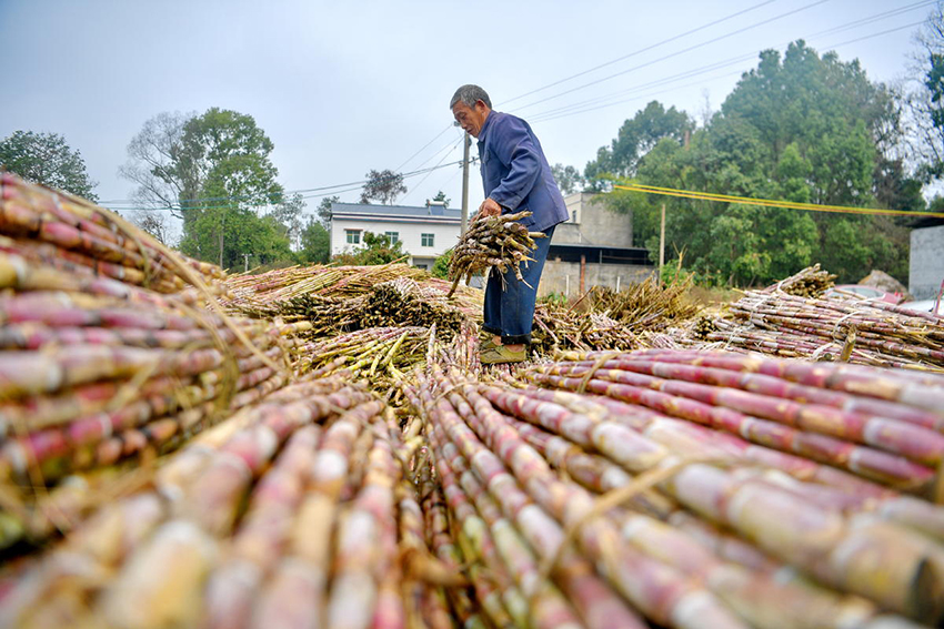 ??? ????? ?????? ????? ?? ??????????