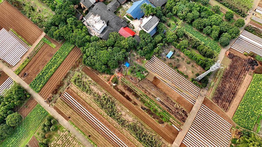 ??? ????? ?????? ????? ?? ??????????