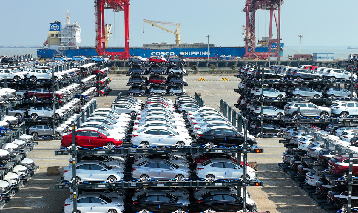 ????? ???? ?????? ????? ????? ????? ???? ???????? ??????? ???????