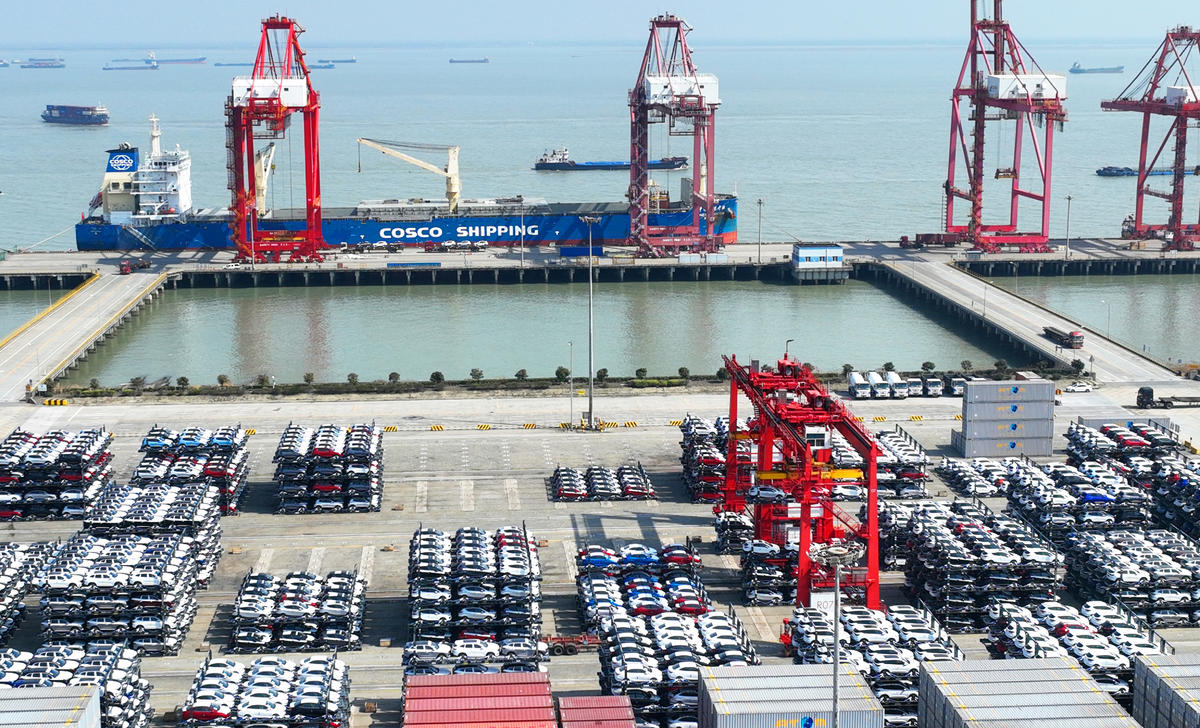 ????? ???? ?????? ????? ????? ????? ???? ???????? ??????? ???????