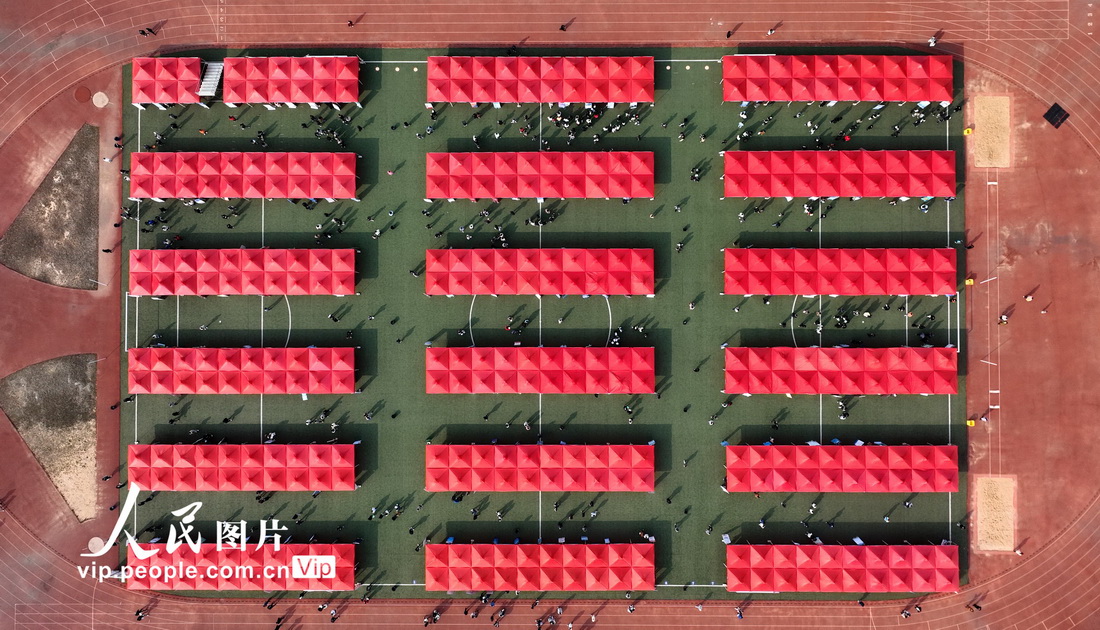 ???? ?? 300 ???? ????? ?? ???? ??????? ?????? ??????????? ??????? ???????