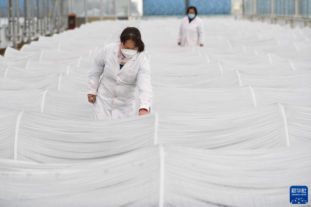 ?????? ????? ???? ??????? ?? ?????